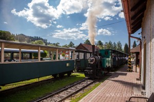 IMG_3186